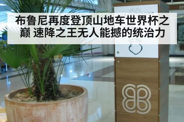 布鲁尼再度登顶山地车世界杯之巅 速降之王无人能撼的统治力
